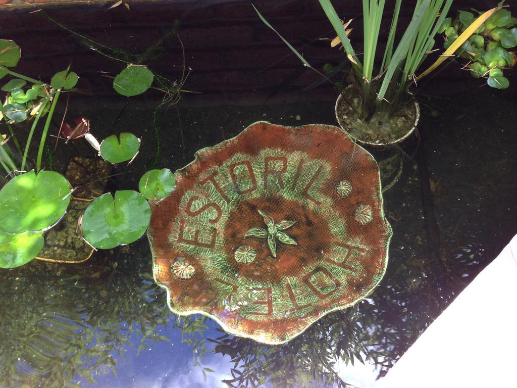 Estoril Bed & Breakfast Penzance Luaran gambar